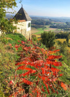 Schloss Kapfenstein food