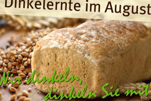 Sondermann Brot food