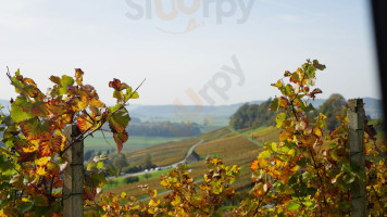 Weingut Stoll inside