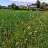 Wirtschaft Stelzenhof Ag food