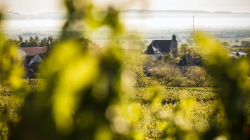 Weingut Und Gästehaus Estelmann outside