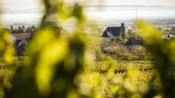 Weingut Und Gästehaus Estelmann outside