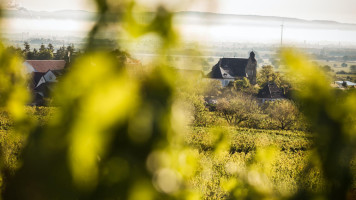 Weingut Und Gästehaus Estelmann outside