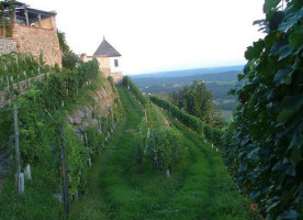 Schloss Kapfenstein food