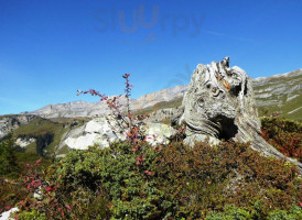 Alphütte Rossboden food