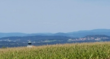 Am König Maxstein outside