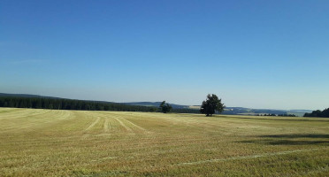 Gasthaus Zum Frankenwald outside