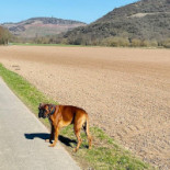 Herrenhof Am Tunnel Herrenhof Café Wein- Und Vesperstube Exterior
