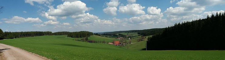 Landgasthof Pension Ölmühle Hirzwald outside