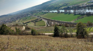 Winzerhütte Retzbach Am Benediktusberg Heckenwirtschaft outside