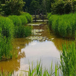 Schlosspark Dennenlohe Extérieur