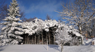 Rennsteighotel Herrnberger Hof outside