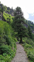 Murgseehuette (berggasthaus Murgsee) outside