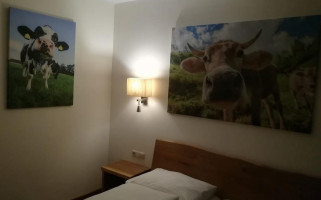 Wildschütz inside