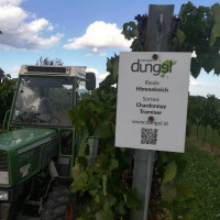 Dungel Heuriger Weingut outside