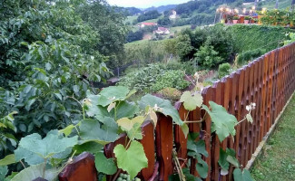 Kuruzzenschenke Weinhof Konrad outside