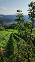 Buschenschank Kremser-greitbauer outside