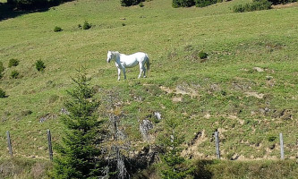 Meislsteinalm outside