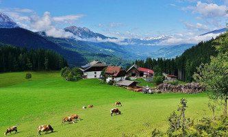 Erlebnishof Tschabitscher Almrestaurant outside