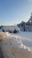 Post outside
