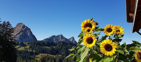 Alpwirtschaft ZwÄcken outside