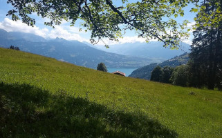 Alphütte Hohwald outside