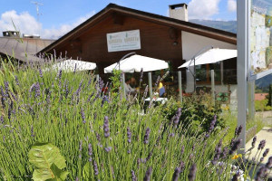 Surselva outside