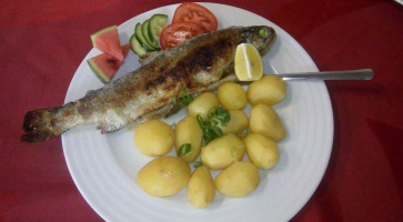 Originál Záložna food