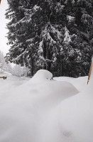 Berggasthaus Alpenblick drink