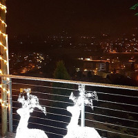 Freudenberg outside