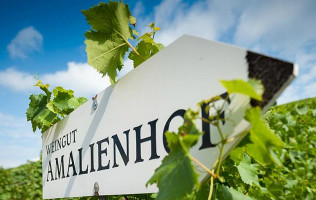 Weinstube Amalienhof outside