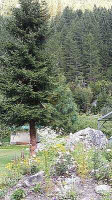 Gasthof Engel outside