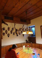 d'antonio inside