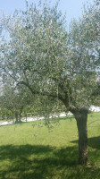 Gaststätte Zur Eiche Skerbersdorf outside