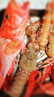 Delfino food