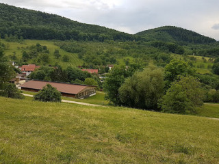 Most-besen Häringen