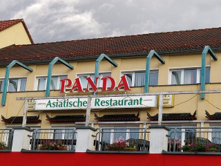 Asia Panda