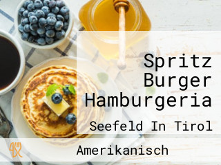 Spritz Burger Hamburgeria