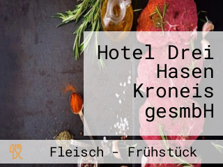 Hotel Drei Hasen Kroneis gesmbH