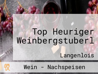 Top Heuriger Weinbergstuberl