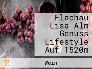 Flachau Lisa Alm Genuss Lifestyle Auf 1520m