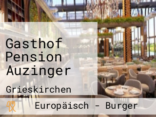 Gasthof Pension Auzinger