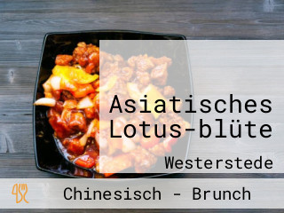 Asiatisches Lotus-blüte