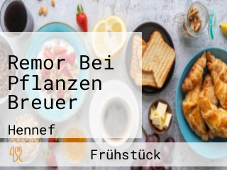 Remor Bei Pflanzen Breuer