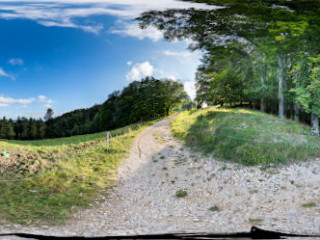 Bergwirtschaft Waldweide