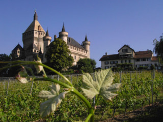 Domaine Et Pinte De La Balle