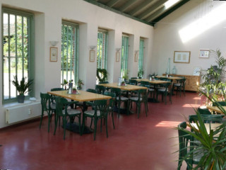 Palmenhaus Café