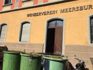 Winzerverein Meersburg