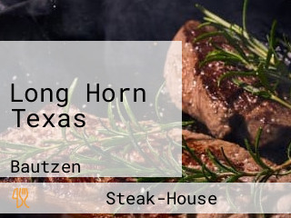 Long Horn Texas