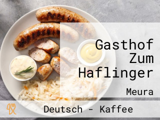 Gasthof Zum Haflinger